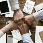 processos de gestão organizacionais